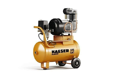 Поршневой компрессор CLASSIC 270/25 W Kaeser Kompressoren 1461 - фото 8228